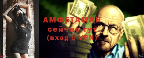 СК Ельня