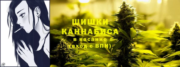 ECSTASY Каменка