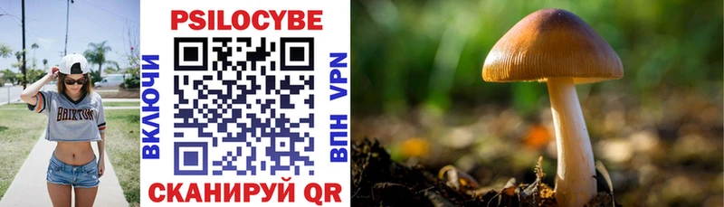 Псилоцибиновые грибы Cubensis  Кирово-Чепецк 